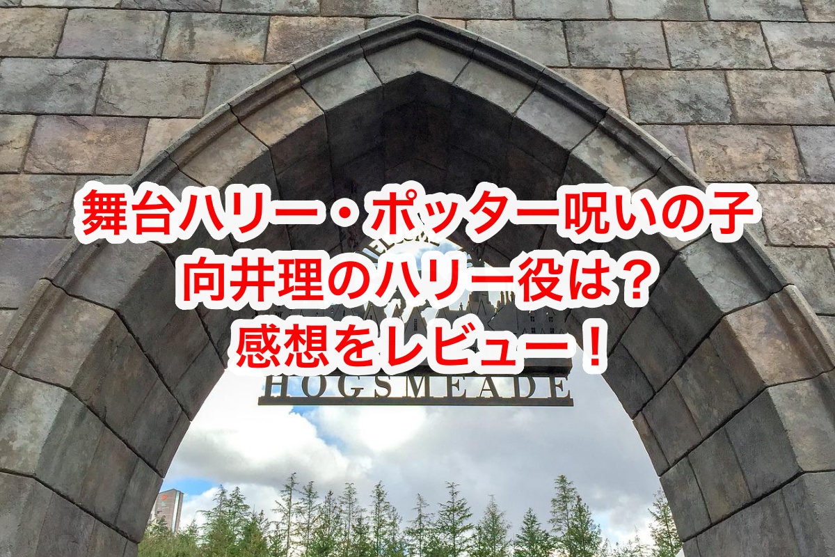 舞台ハリー・ポッター呪いの子｜ 向井理のハリー役の感想を書いた記事の画像