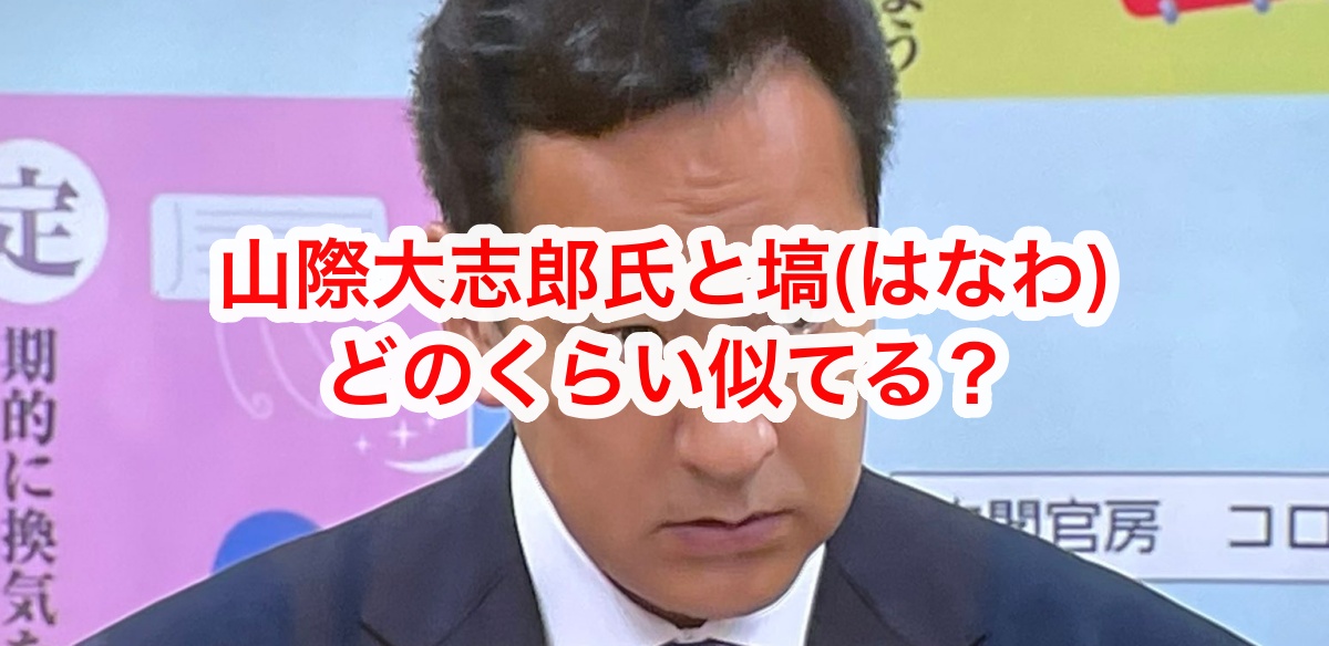 山際大臣と塙どのくらいにてる？