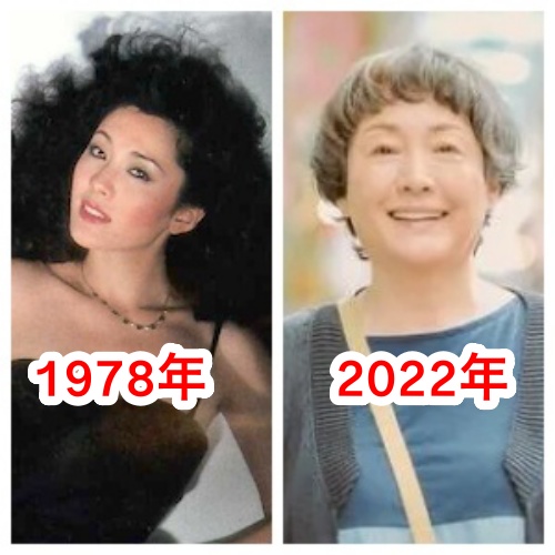 松坂慶子の若い頃と2022年現在の画像